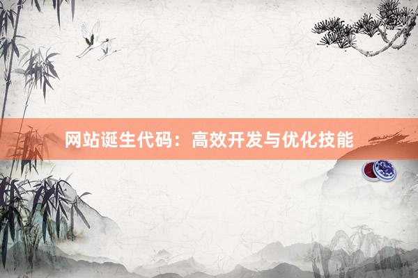 网站诞生代码：高效开发与优化技能