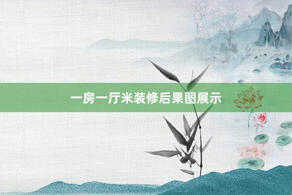 一房一厅米装修后果图展示